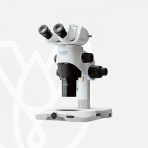 Stereo Microscopes