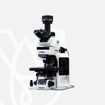 Upright Microscopes