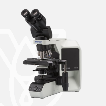 Olympus Microscope BX43