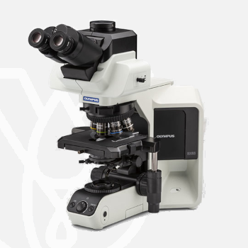 Microscope BX53