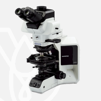 Olympus Microscope BX53-P