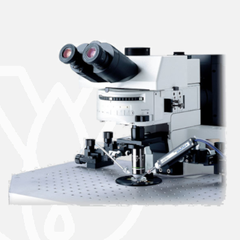 Olympus Microscope BX61WI / BX51WI