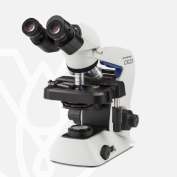 Upright Microscopes