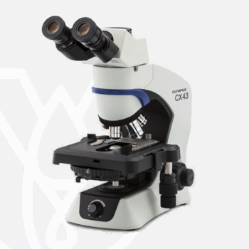 CX43 Olympus Microscope