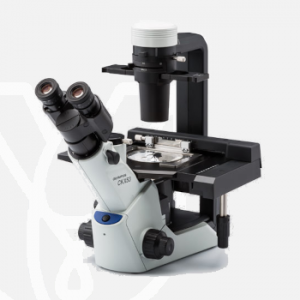 Inverted Microscopes