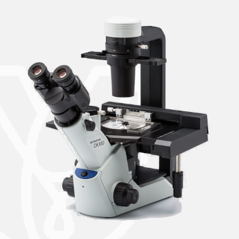 Microscope CKX53