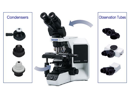 Microscope BX43 Customizable