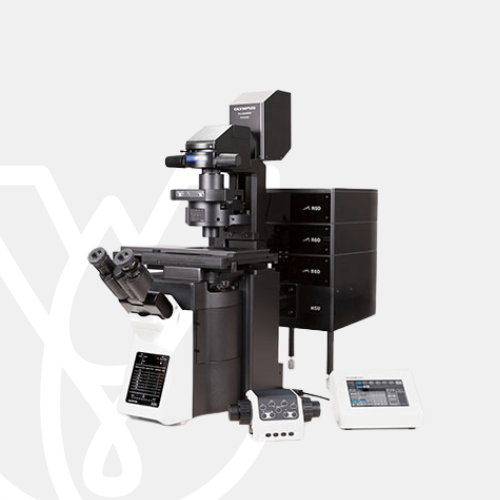 Olympus Microscope FV4000