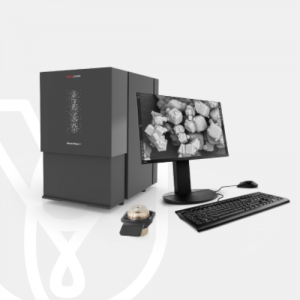 Phenom Desktop SEM – PT Wadya Prima Mulia